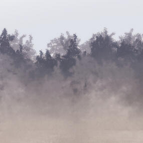 Backgrounds Backgrounds